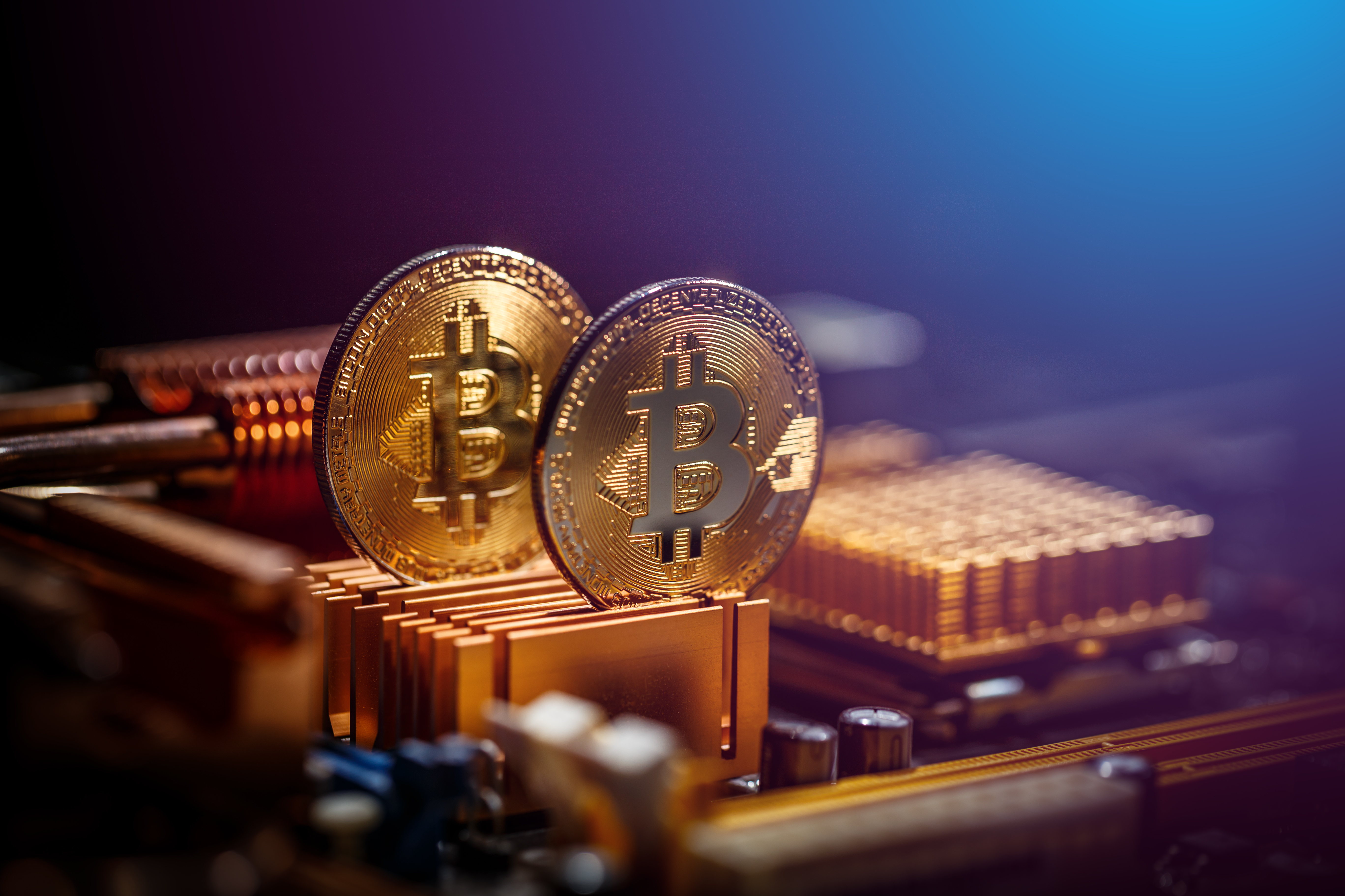 latest crypto currencies