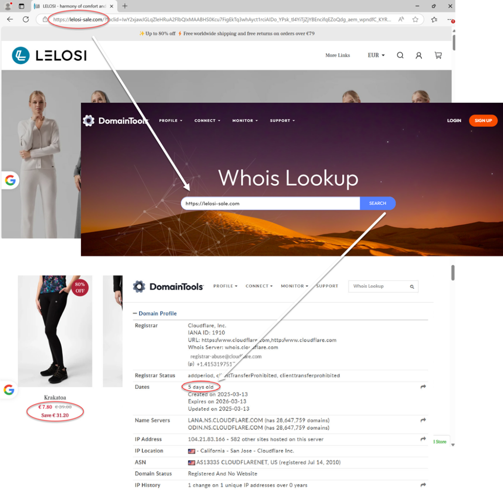 Slika grafično prikazuje postopek preverjanja domene - copy link spletne strani, prilepi v iskalnik na whoisdomaintools.com in preveri podatke. 